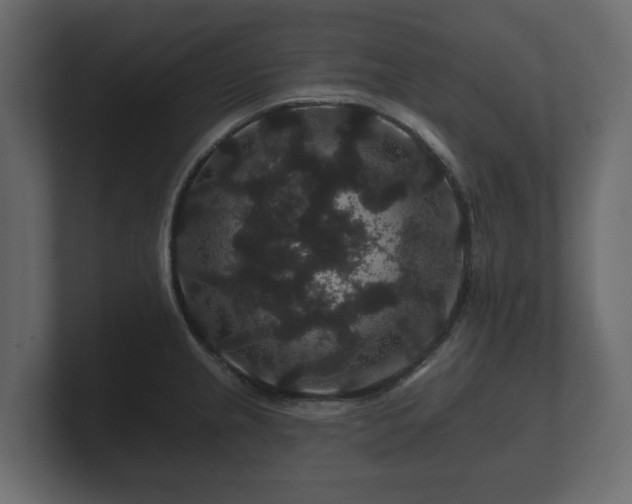 X0000100751237200806261537