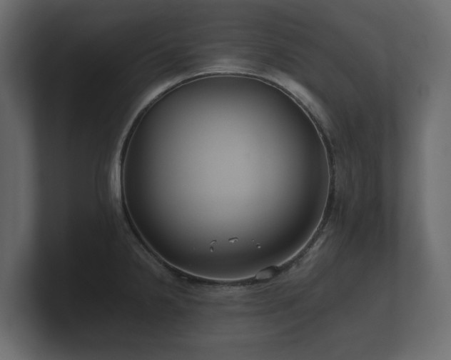 X0000100751238200806261537