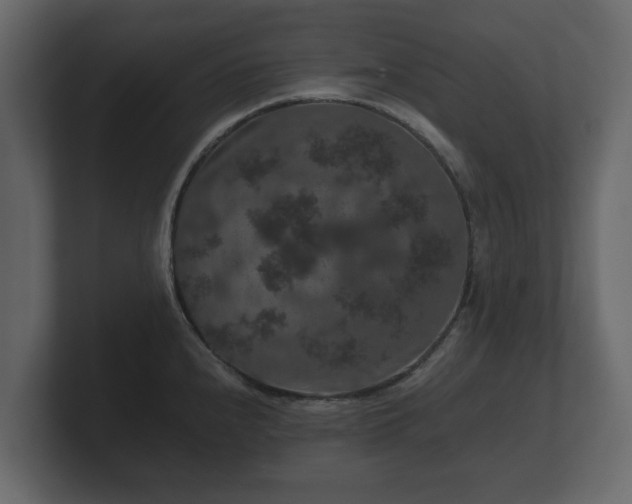 X0000100751240200806261537