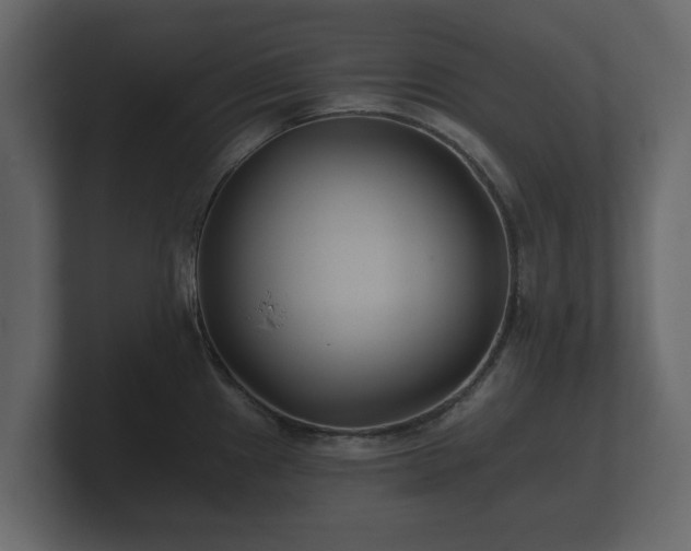 X0000100751241200806261537