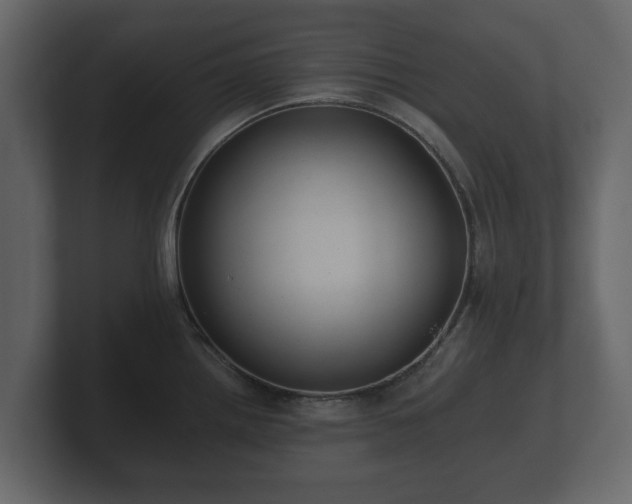 X0000100751242200806261537