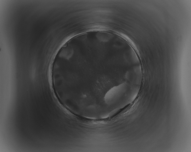 X0000100751243200806261537