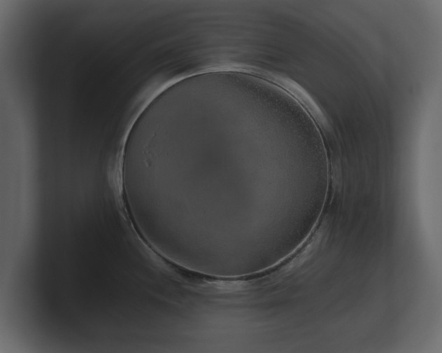 X0000100751244200806261537