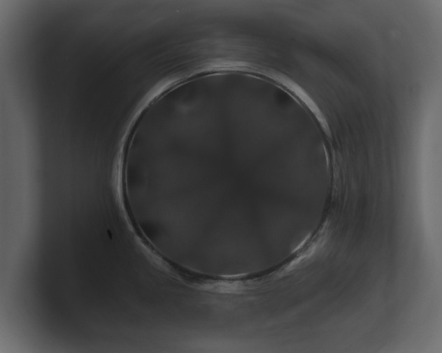 X0000100751245200806261537