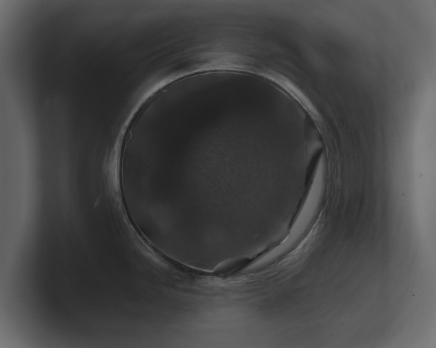 X0000100751246200806261537