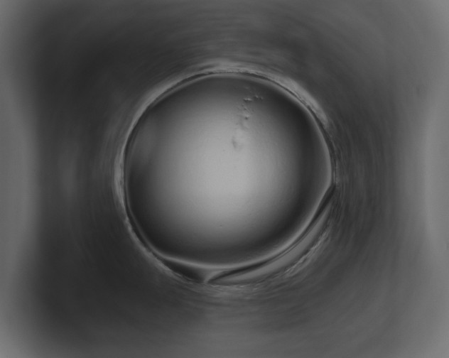 X0000100751247200806261537