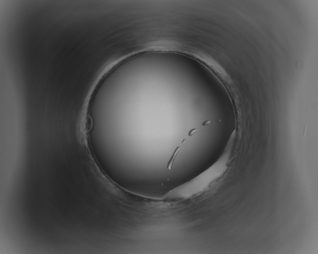 X0000100751248200806261537