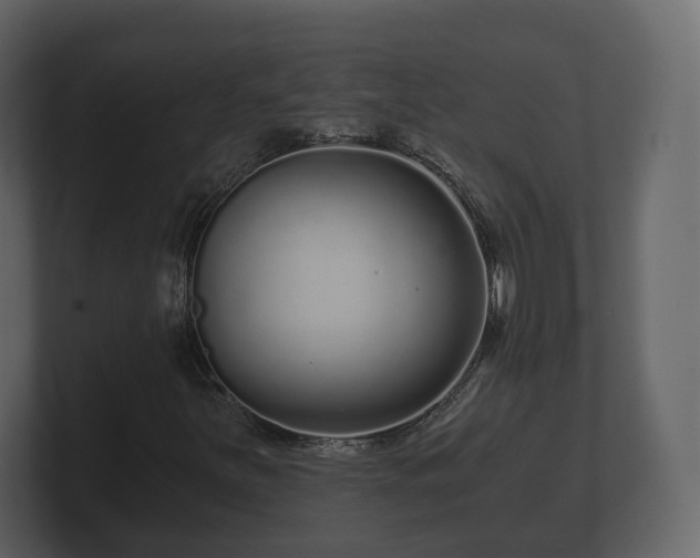 X0000100751251200806261536