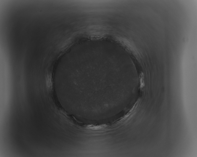 X0000100751252200806261536