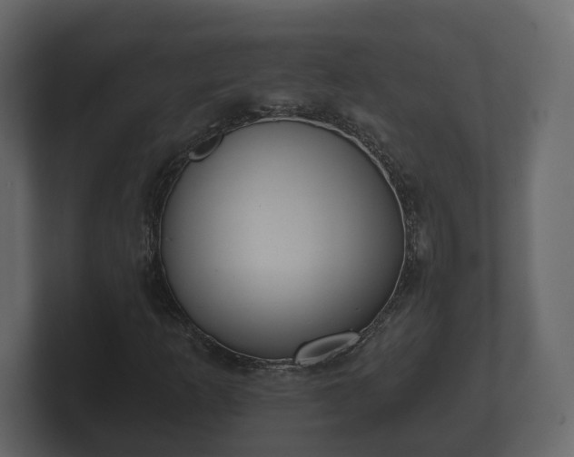 X0000100751253200806261536