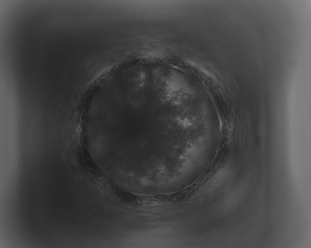 X0000100751254200806261536