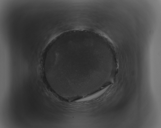 X0000100751256200806261536