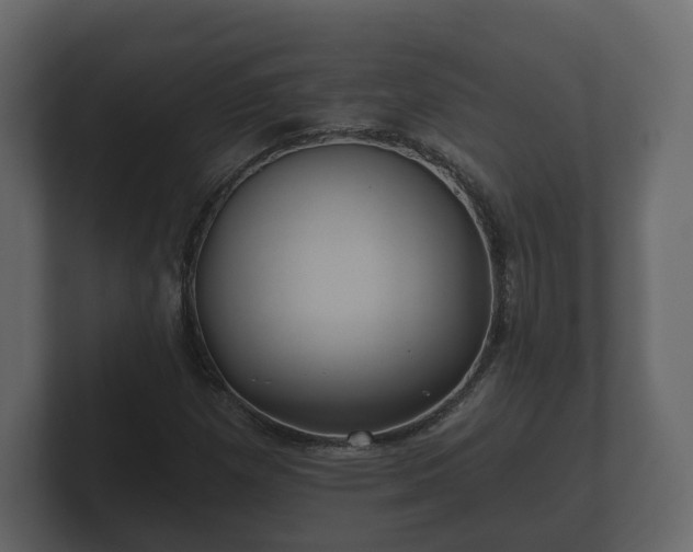 X0000100751257200806261536