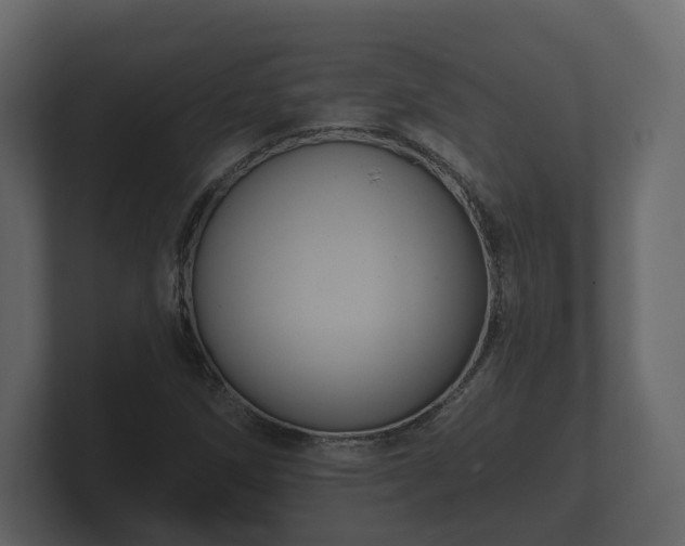 X0000100751258200806261536