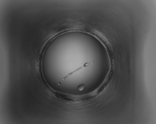 X0000100751260200806261536