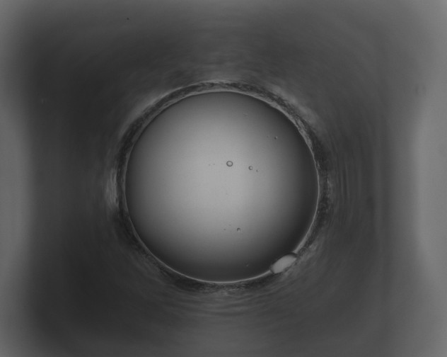 X0000100751262200806261536