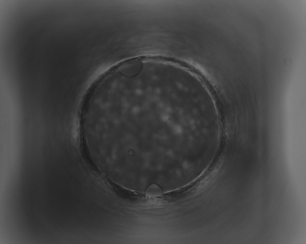 X0000100751263200806261536