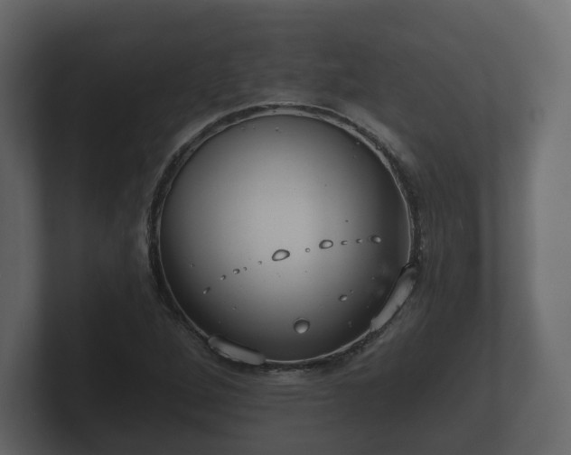 X0000100751264200806261536