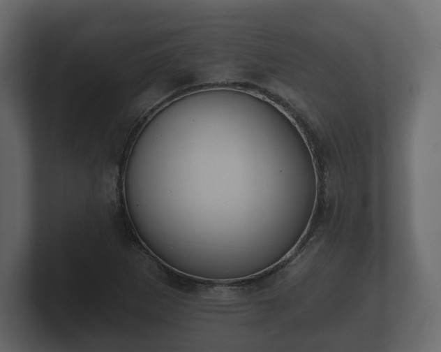 X0000100751265200806261536