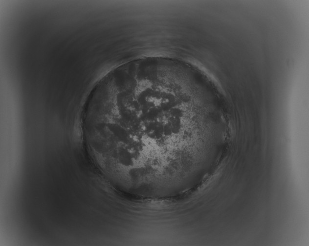 X0000100751266200806261536