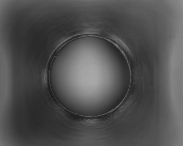 X0000100751268200806261536