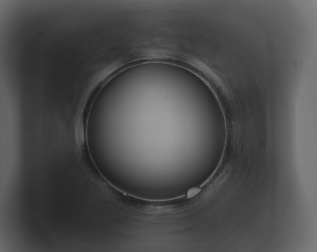 X0000100751269200806261536