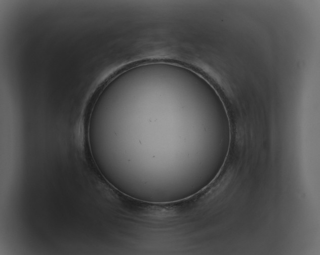 X0000100751270200806261536