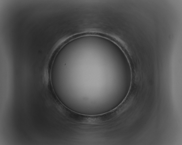 X0000100751271200806261536