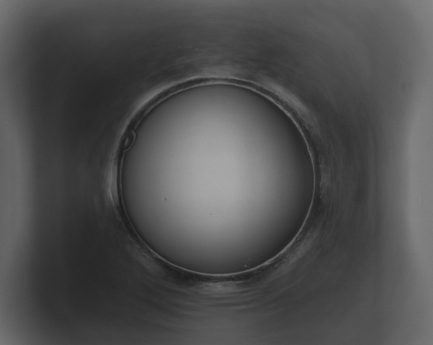 X0000100751272200806261536