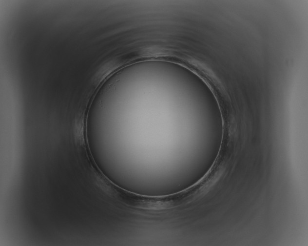 X0000100751273200806261536