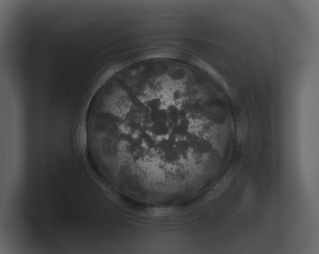 X0000100751274200806261536