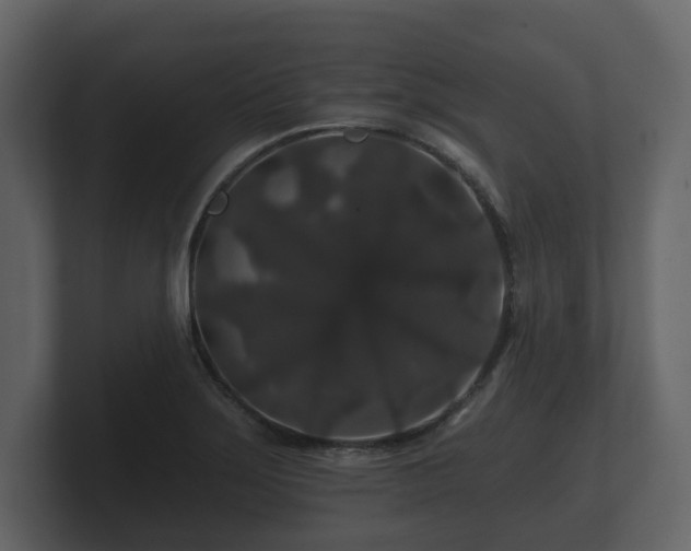 X0000100751275200806261536