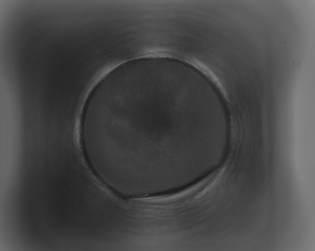 X0000100751277200806261536