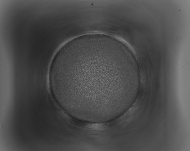 X0000100751278200806261536