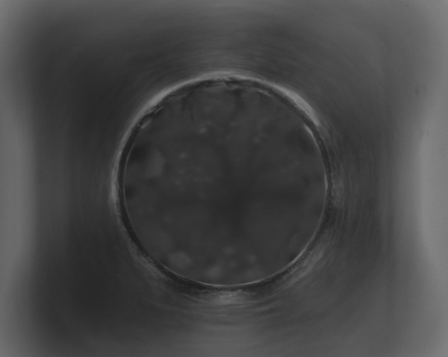 X0000100751279200806261536