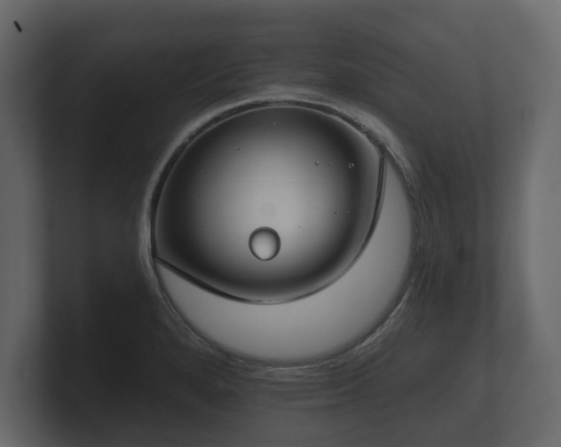 X0000100751280200806261536