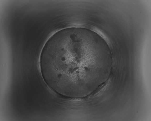 X0000100751283200806261536