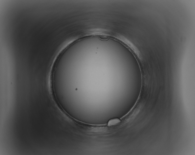 X0000100751285200806261536