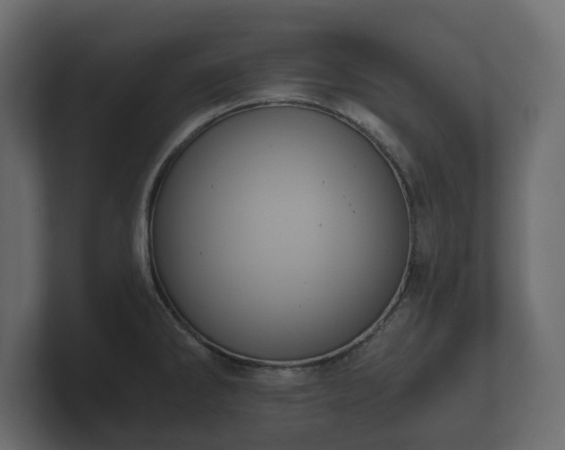 X0000100751286200806261536