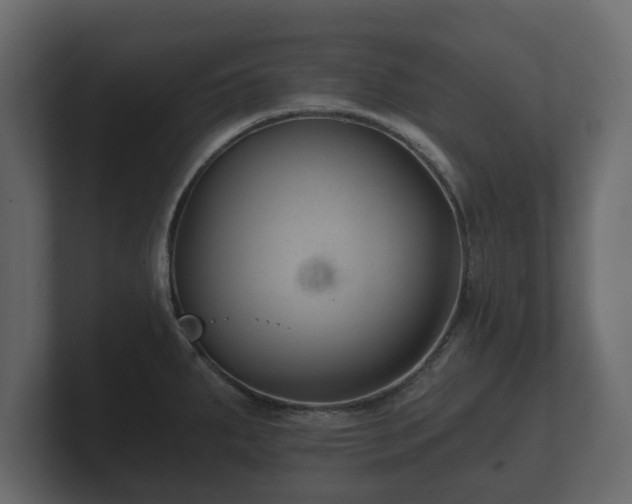 X0000100751287200806261536