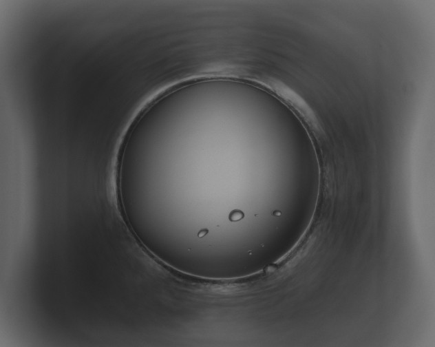 X0000100751288200806261536