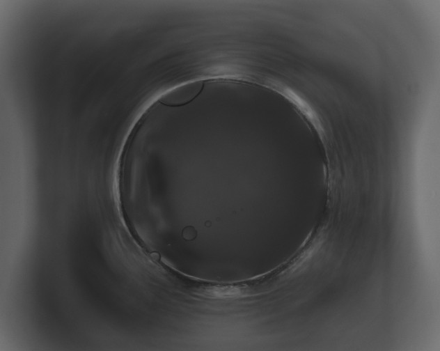 X0000100751291200806261536