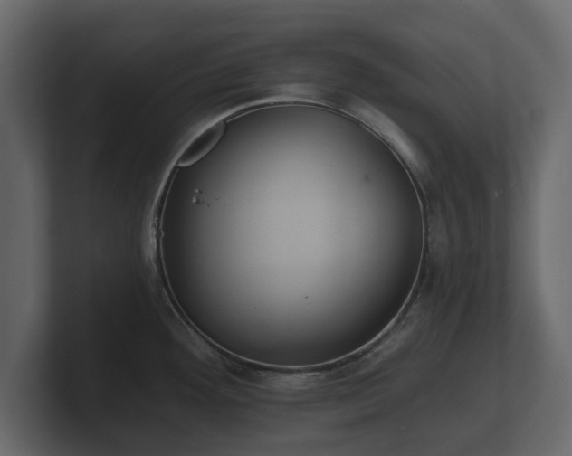 X0000100751292200806261536