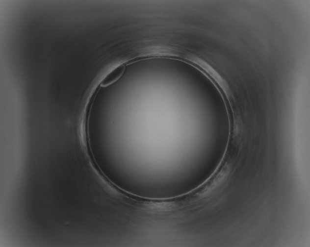 X0000100751293200806261536