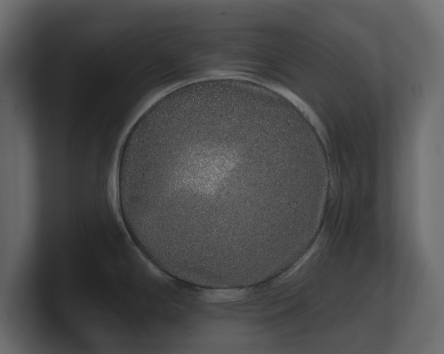 X0000100751294200806261536