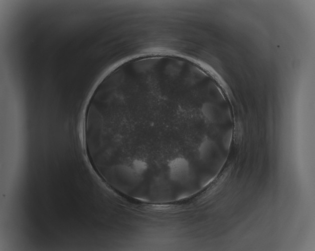 X0000100751295200806261536