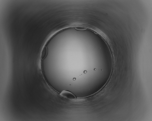 X0000100751296200806261536