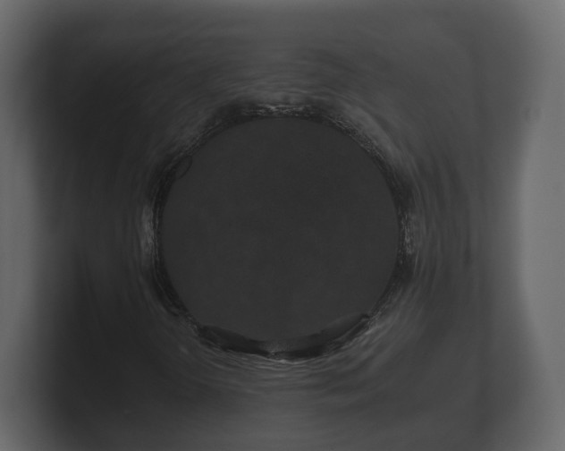 X0000100751298200806261535