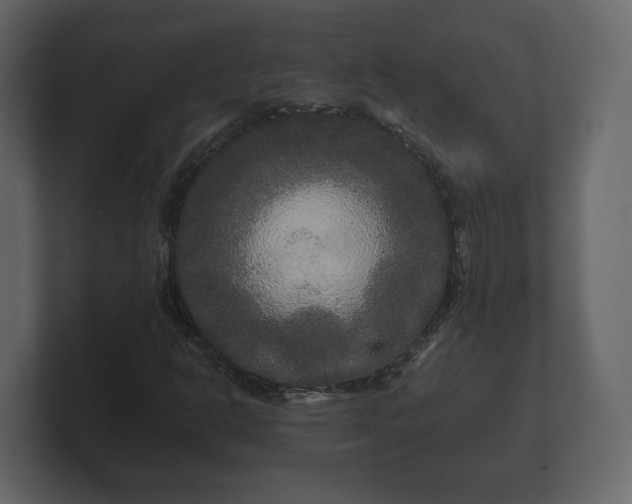 X0000100751302200806261535