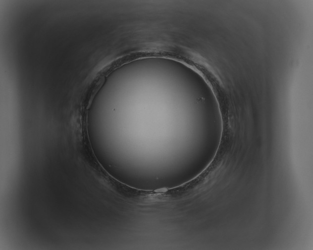 X0000100751304200806261535